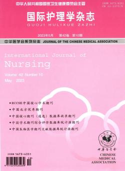 国际护理学期刊